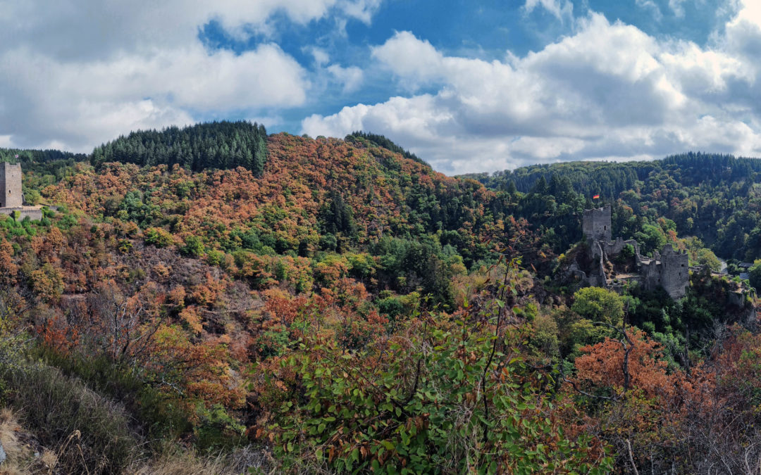 Allemagne – Eifel – Manderscheider Burgen